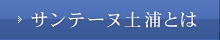 サンテーヌ土浦とは